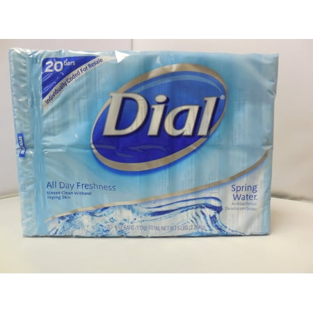 Dial All Day Freshness Spring Water 20 Bars (Best Name Brand Water To Drink)