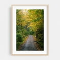 thumbnail image 2 of Trapps Trail - New York Photography Unframed Wall Art Print 20 x 30 inches, 2 of 60