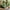 110.2"Green, variant on 110.2" Cloud Couch Sectional, Lofka Modern Modular Sofa with Deep Seat, Upholstered Living Room Furniture Set with Movable Ottoman and 2 Throw Pillows, Green Couch