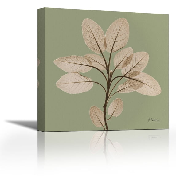 Berggarten Sage - Contemporary Fine Art Giclee on Canvas Gallery Wrap - wall d?cor - Art painting - 24 x 24 Inch - Ready to Hang