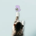 thumbnail image 3 of Juguetes de pared con hierba gatera,Bolas de hierba gatera,suministros para mascotas,juguetes interactivos para gatos,Juguetes giratorios con hierba gatera para gatos,tentaciones,juguete para, 3 of 8