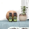thumbnail image 2 of Edens Garden Lime Essential Oil- 100% Pure Premium Grade, Undiluted, Natural, Therapeutic, Aromatherapy, The Best for Diffuser, Candle, Laundry, Kid Safe 10 ml (.33 fl oz), 2 of 8