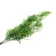 thumbnail image 5 of 2x 30 '' Simulación Rose Vine Green Leaves Colgando Plantas Decoraciones para, 5 of 9