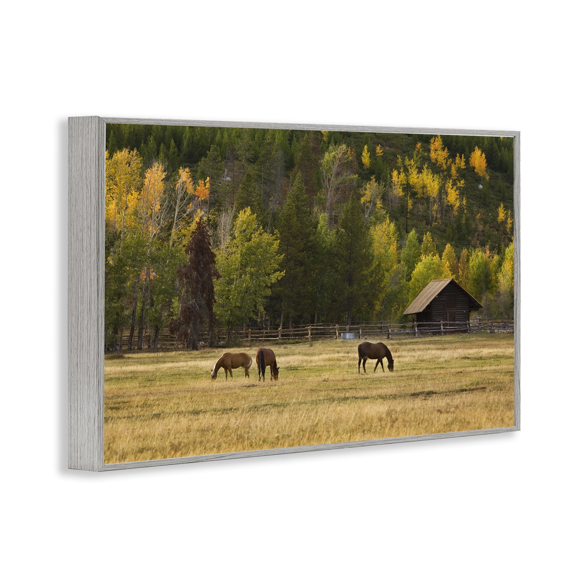 Stupell Industries Horses In Jackson Hole Gray Framed Giclee Art, design by Scott Stulberg