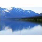 Reel Fishing: Angler's Dream