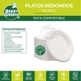 thumbnail image 4 of 125 Platos Redondos Ecologicos Berry Green 25.8 cm PLR10B, 4 of 5
