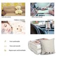 BTS Travel Blanket and Pillow Set Pillow Kids Gift Travel Airplane