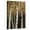 Canvas, variant on Art.com Shimmering Birches 2 Art Print by Arnie Fisk, 12" x 16"
