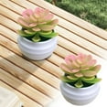 thumbnail image 5 of Mini Green Plant, Ongmies Green Artificial  In Plastic Pots Decor Aesthetics Home Decor Faux Plant Halloween for Women, Plastic Succulent Plant, 5 of 9