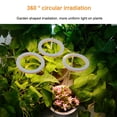 thumbnail image 1 of Bombilla Angel Ring Plant Light Sunlight Phytolamp Lámpara de vivero USB (uno para tres) Wdftyju Para estrenar, 1 of 4