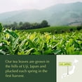 thumbnail image 3 of Encha Matcha Green Tea Powder, Organic Ceremonial Grade First Harvest, Uji Japan, 500g, 1.1lb, 3 of 9