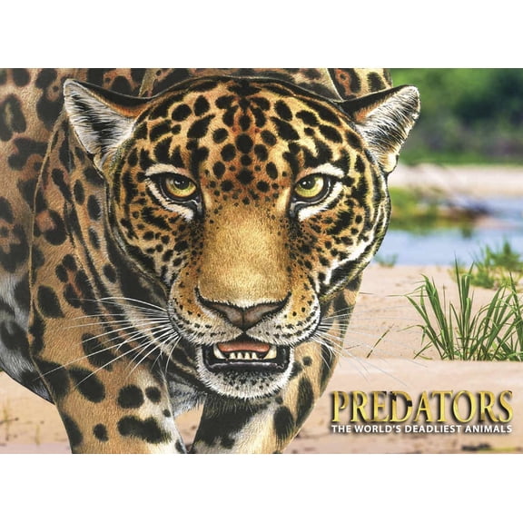 Predators: The World's Deadliest Animals, (Hardcover)