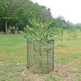 thumbnail image 2 of Clearance! Under$5 Round Plant Protector from Animals,6 Pack 12'' x 12'' Metal Plant Cages,Metal Mesh to Keep Animals Out, Garden Protection Bunny Barricades, Wire Plant Protectors, 2 of 6