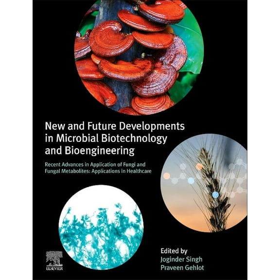 New and Future Developments in Microbial Biotechnology and Bioengineering: Recent Advances in Application of Fungi and F, (Hardcover)