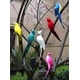 thumbnail image 4 of Nvzi 2 piezas de pájaros artificiales de 9,9 pulgadas, loro realista con modelo de decoración de loro con plumas realistas para decoración artesanal, amarillo A, 4 of 4