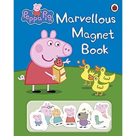 Pre-Owned The Marvellous Magnet Book (Hardcover) 9781409301769