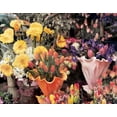 thumbnail image 2 of Zeny Cieslikowski 35x28 Gallery Wrapped Canvas Wall Art Titled - Flowers Florence, 2 of 4