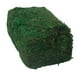thumbnail image 1 of 1 unid simulado musgo musgo artificial decorativo imitado adorno de planta (verde), 1 of 6