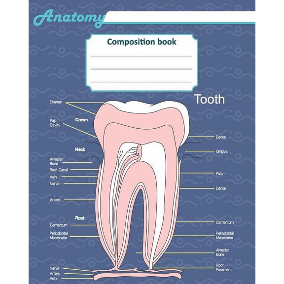 Till Hunter Anatomy composition book 200 ruled line page 8" x 10"(20.32 x 25.4 cm)