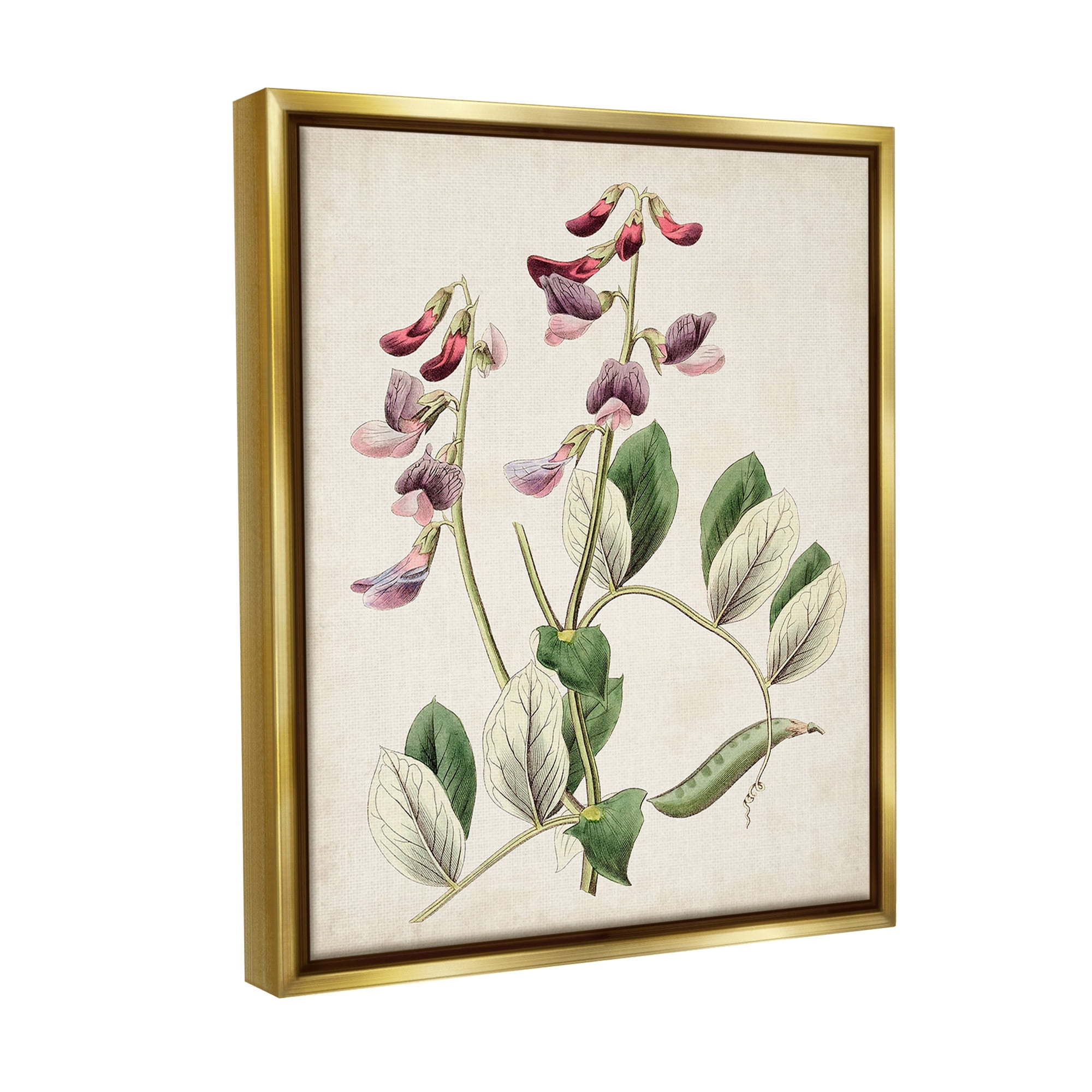 Stupell Industries Vintage Foxglove Study Botanical & Floral Painting Gold Floater Framed Canvas Art Print Wall Art, 25 x 31