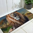 thumbnail image 2 of ONETECH Lion Grass Mountain Lion Grass Mountain Doormat Entrance Mat Indoor/Outdoor/Front Door/Bathroom Mats for Home Entrance Outside Entry 19.68*47.24 in, 2 of 6