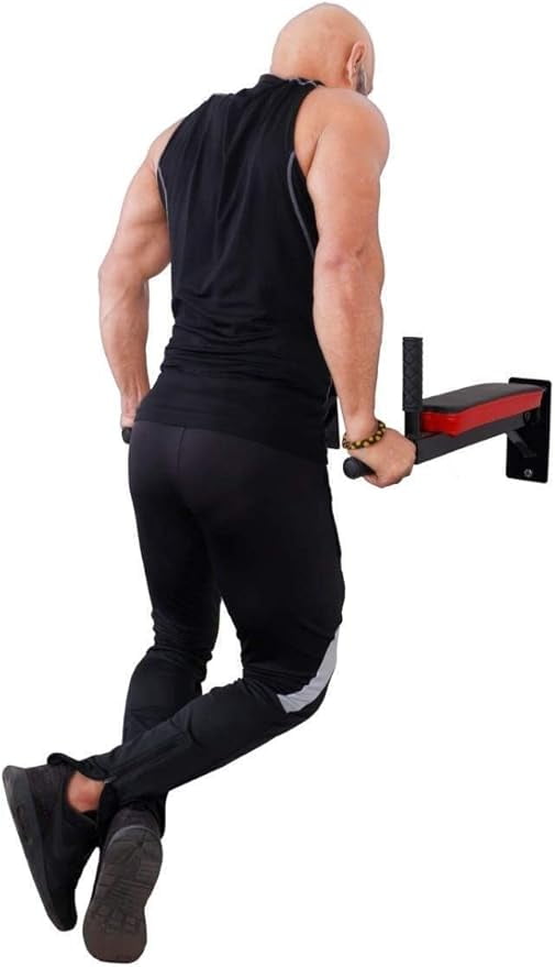 Spancare Heavy Duty Dips Bars - for Wall mounting, 4 Handle Bars with Padding on arms