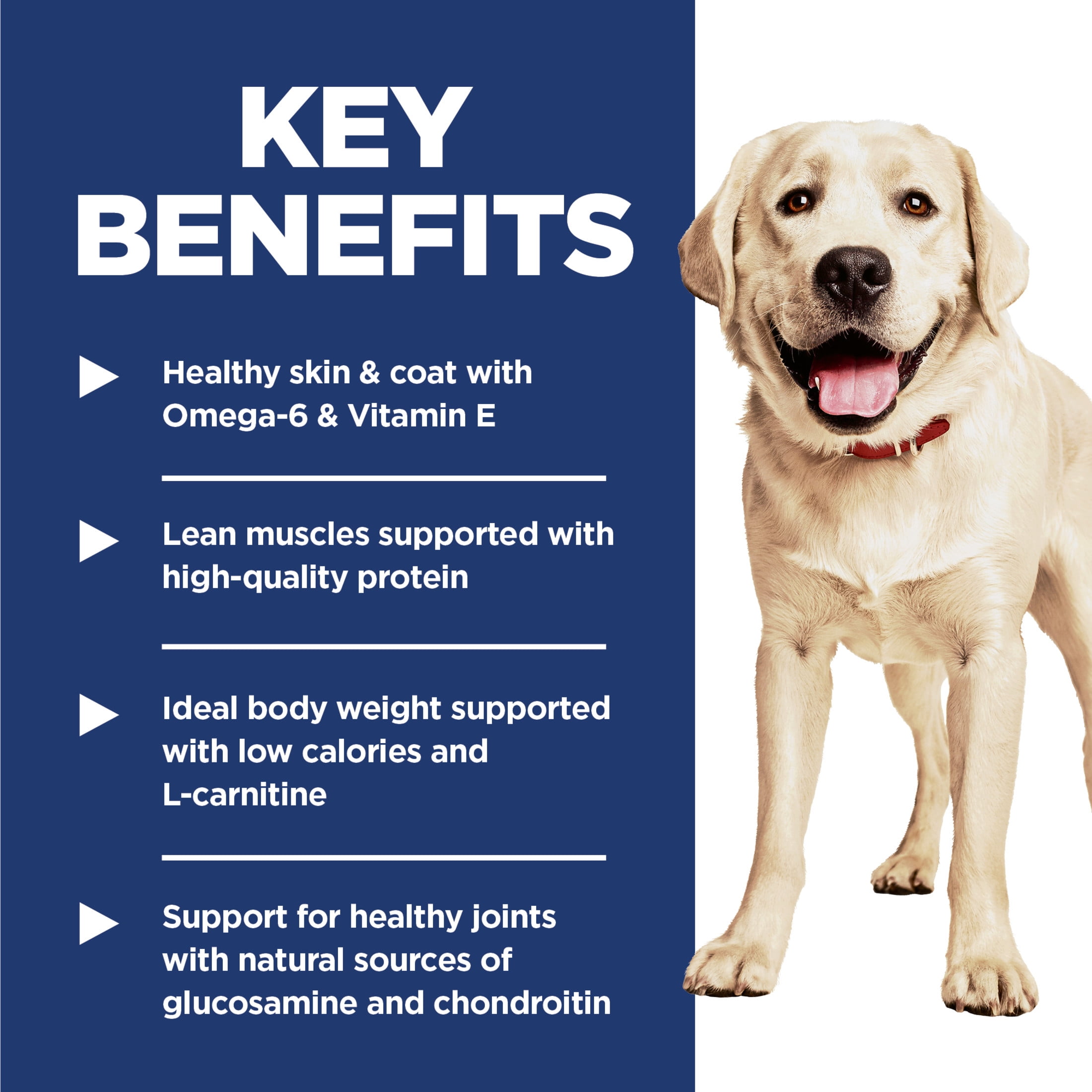 Hill's Science Diet Light Chicken & Barley Dry Dog Food, 30lb Bag