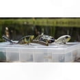 thumbnail image 3 of 3/8 oz. Buzz Bait Fishing Lure for Bass and Predator Fish, 3 of 3