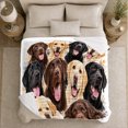 thumbnail image 5 of Chocolate Black Yellow Lab Portrait Group Art autumn celebration, Playful Pet Portrait Pattern, Warm Flannel Blanket for Living Room and Bedroom, Dog Moms person's Day Gift, Pet Lover Home Decor, 5 of 9