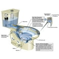 thumbnail image 3 of American Standard H2Option 0.92/1.28 GPF Dual Flush Toilet Tank Only with AquaGuard Liner in Linen, 3 of 3