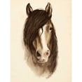 thumbnail image 3 of Popp, Grace 12x14 Black Modern Framed Museum Art Print Titled - Watercolor Barn Animals II, 3 of 5