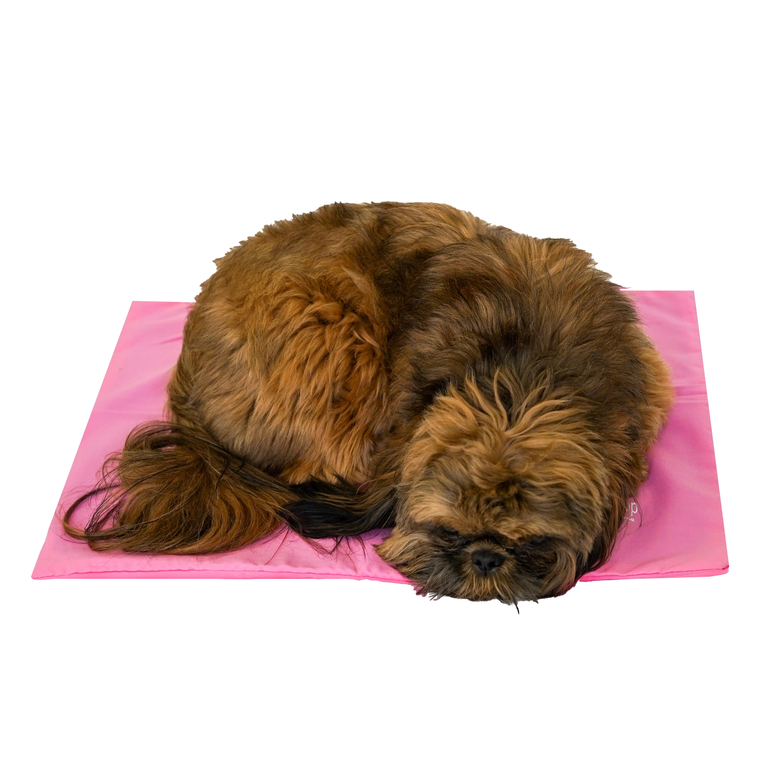 The Green Pet Shop Dog Cooling Mat Cover, Small Protect Your Gel