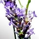 thumbnail image 3 of Desodorante en Barra Davidoff Cool Water para Hombre 70 g Davidoff Davidoff, 3 of 7