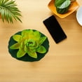 thumbnail image 4 of SHOWERORO 3Pcs Simulation Lotus Flowers Floating Decoration for Aquarium Pond and Pool Display, 4 of 6