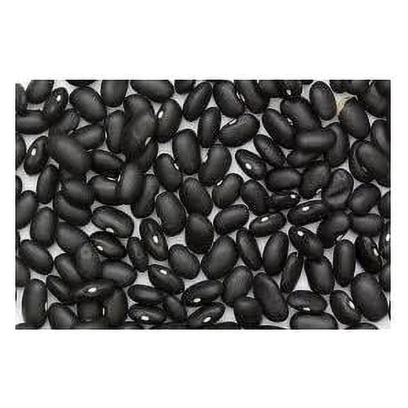 Bean Black Turtle Great Heirloom Garden Vegetable By Seed Kingdom BULK 1 Lb Seeds