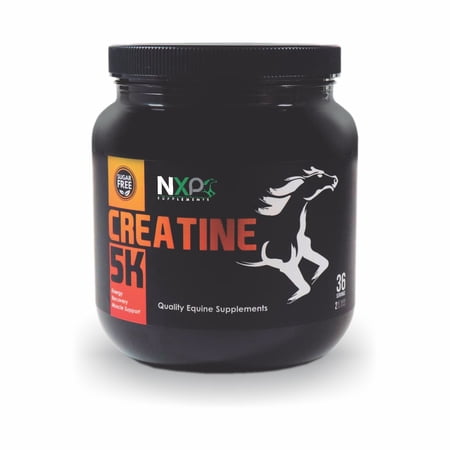 Creatine 5K - Energy Muscle Support Strength Recovery Horse Supplement - 2 lb (0.91 Kg) Powder - 36 Servings - NXP Supplements