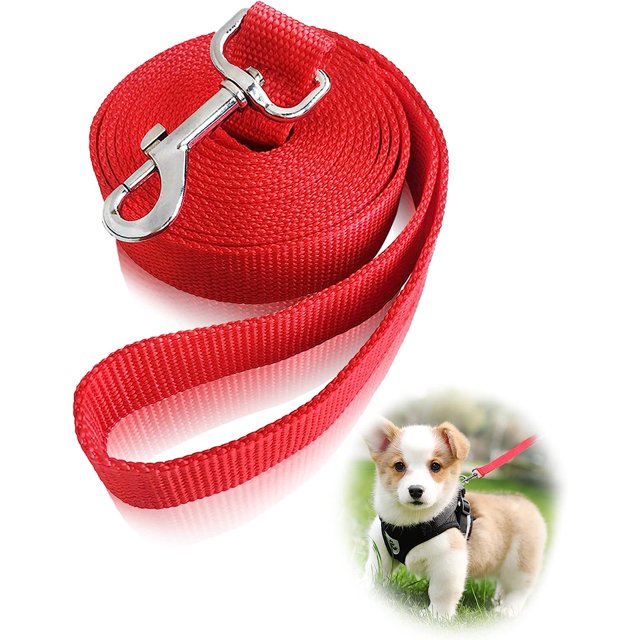 GHSDFBB 10ft Long Line Training Dog Leash Strong Durable Nylon Puppy Obedience Training Leash for Small Dogs. Best for Hiking, Backyard,Hunting,Beach Long Leads,ect(Red)