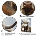 thumbnail image 3 of Designart "Mountain Grazing Yaks" Yaks Wall Decor, 3 of 7