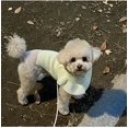 thumbnail image 4 of Suéter de punto suave con cuello de loto de cachemira para perro, ropa de lana para Navidad e invierno, 4 of 6