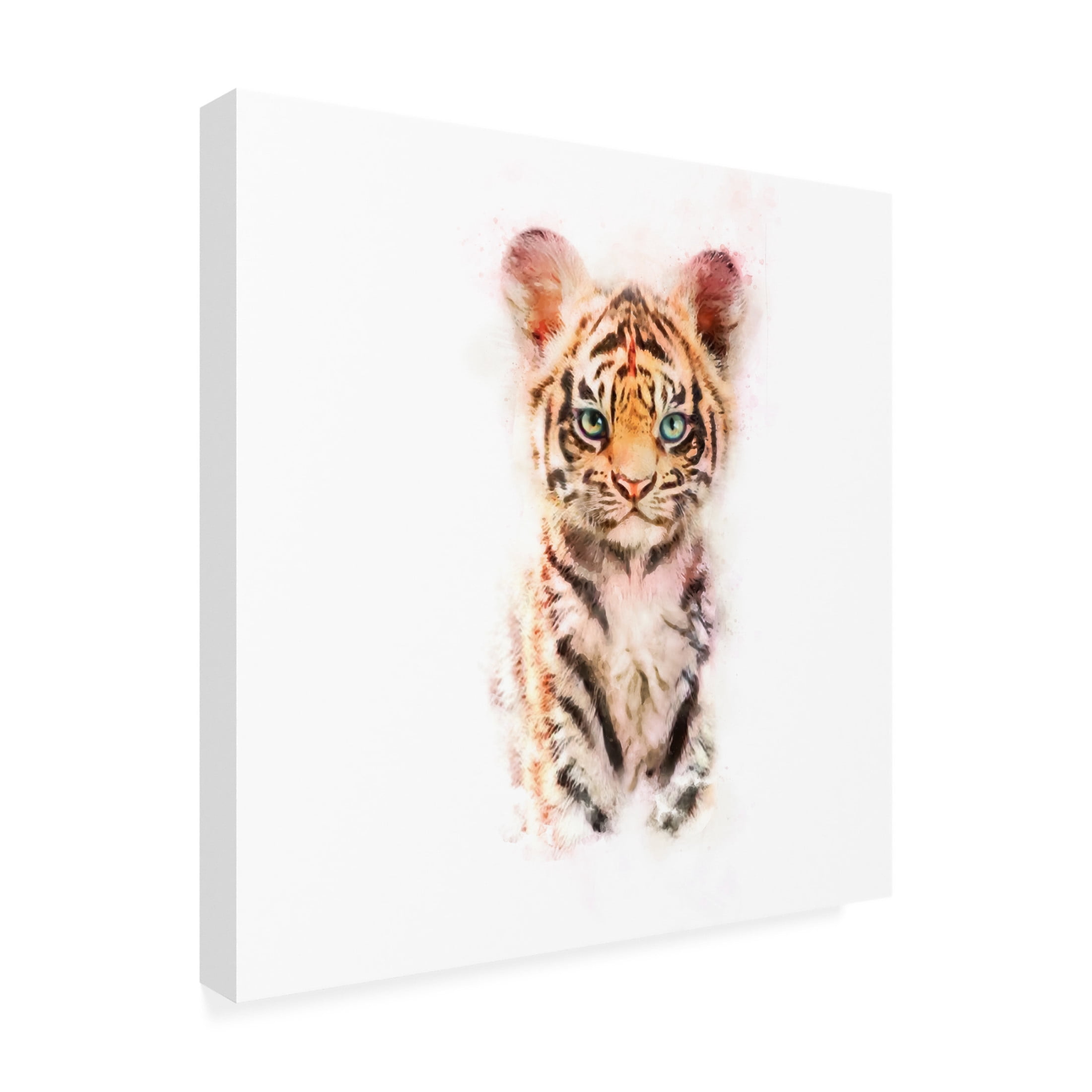 Trademark Fine Art Emel Tunaboylu  Baby Tiger Canvas Wall Art