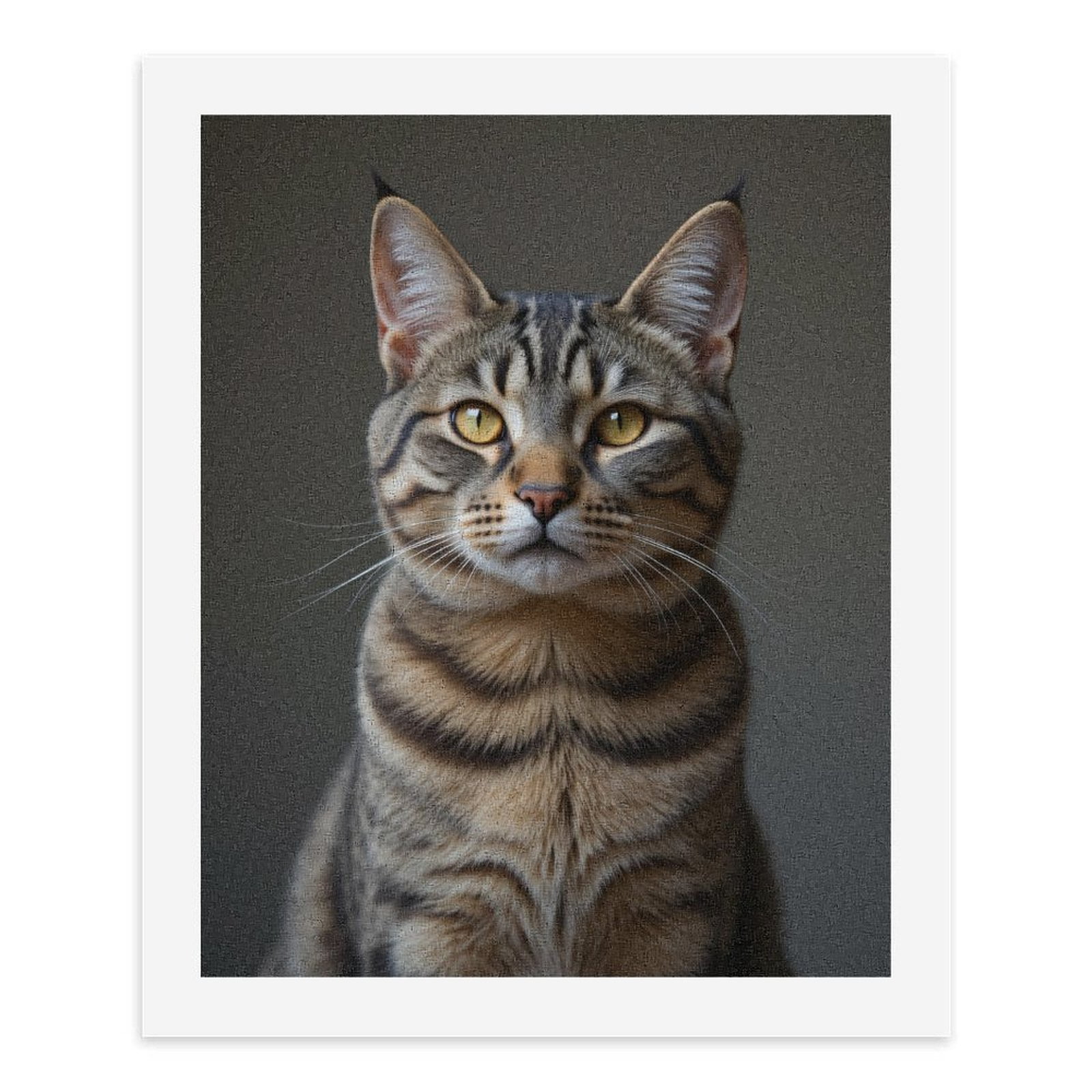Paint by Numbers Kit for Adults, Tabby Cat Majestic Portrait Paint by Numbers, Easy Paint by Numbers Kit for Adults Beginner, DIY Adult Paint by Number Kits on Canvas, Home Decor