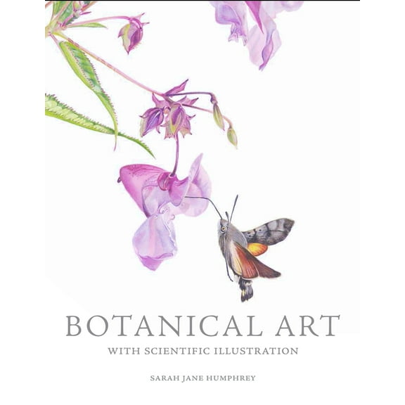 Botanical Art with Scientific Illustration (Paperback)