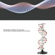 thumbnail image 4 of Modelo De Estructura De ADN, Modelo De Doble Hélice De ADN Educativo Intuitivo Para La Escuela, 4 of 7