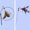 Style2, variant on BESTSKY 2Pcs Interactive Cat Toy,Quick Action Toys Interactive Cat Toys,Fun Playtime Anytime Interactive Cat Toys for Indoor Cats,Style1