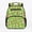 Guinea Pig Daisy, variant on Dolphin Galaxy Backpack for Kindergarten Boy Girl Age 4-6, 13.5" Preschool School Bag Mini Breathable Water-Resistant Daypack with Padded Straps