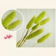 thumbnail image 2 of Dried Pampas Grass Decor Tall - Total 50 Stems - Multi - Color Small Pampas Grass Plants for Home Decor , Wedding and Events Arrangements, 2 of 3