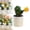 Green_d, variant on ZOURIH Artificial Cactus Plant Ornament, Simulation Cactus Adornment Bonsai Model, 8" Tabletop Fake Plants for Office and Bedroom Use