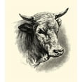thumbnail image 2 of Lehnert, F. 12x13 White Modern Wood Framed Museum Art Print Titled - Antique Cattle II, 2 of 4