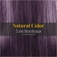 thumbnail image 3 of Hair Solution Gold 90 grams / 3.17 oz Hair Dye Bordeaux 5.66 Color - Hair Dye Permanent + Peroxide Cream Vol 20  + Hair Care Gloves, 3 of 8