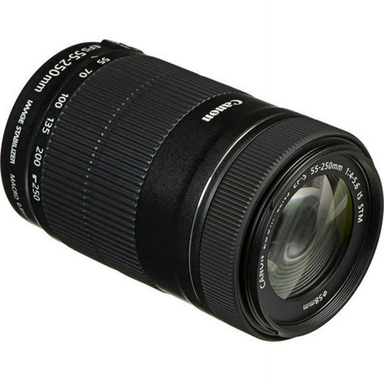 Canon EF-S 55-250mm f/4-5.6 IS STM Lens + Hood